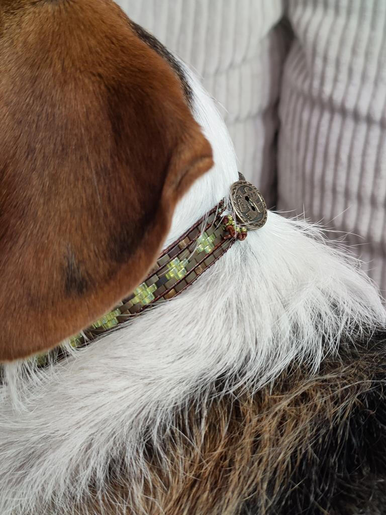 Dog jewelry ;)