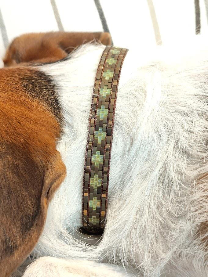 Dog Collar